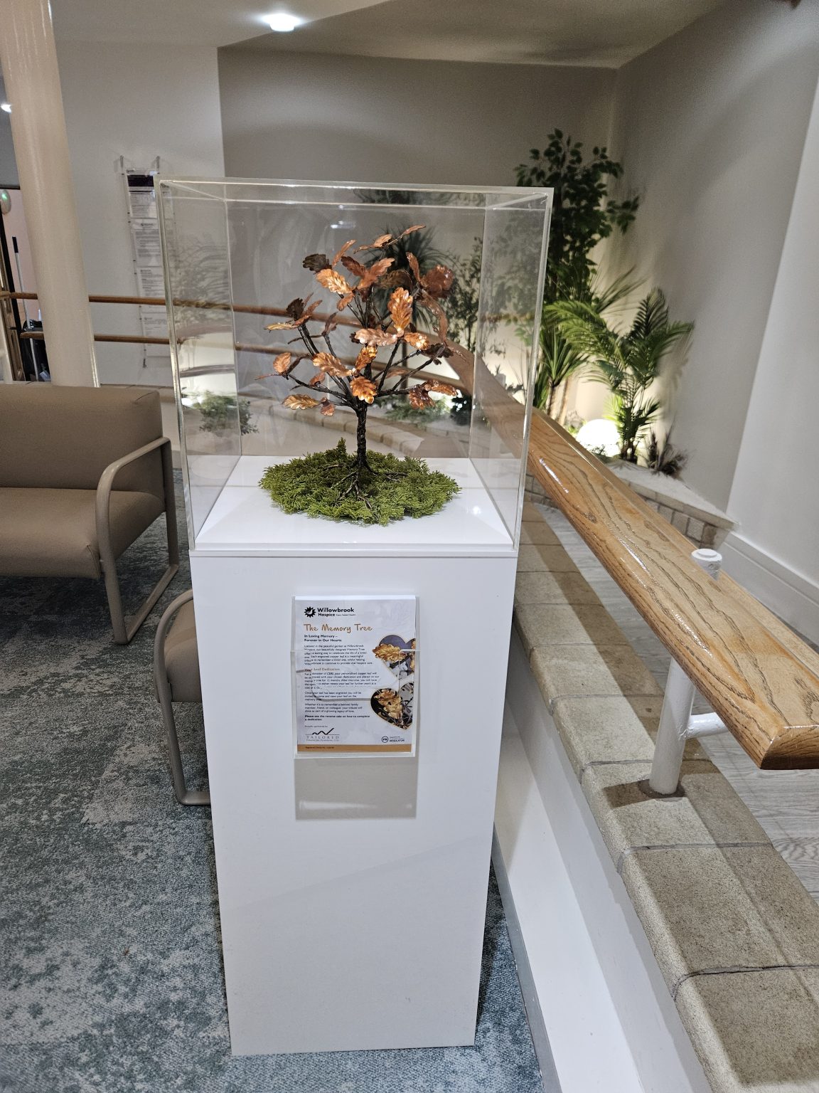 Introducing Our Mini Memory Tree | Willowbrook Hospice